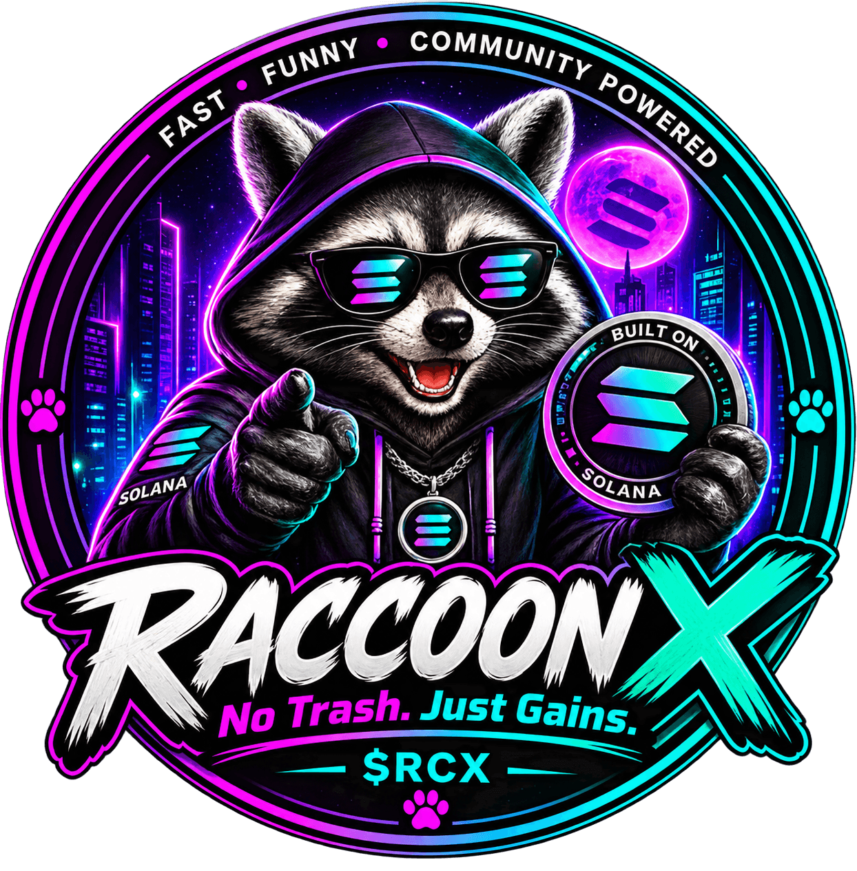 RaccoonX